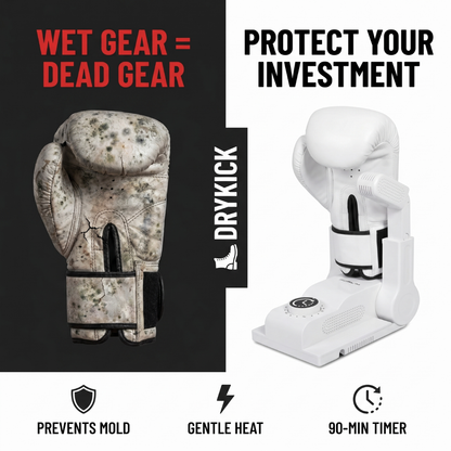 Intelligent Shoe Dryer